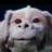 Twitter result for Burton from Lina_Fabres