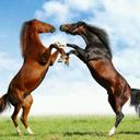 عمر المحجوب (@0074259Omar12) Twitter