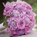 أميرة الورد (@00200287) Twitter
