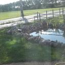 Walter Van Elsland (@01a5047f358b4f1) Twitter
