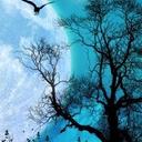Velpula Kalyani (@01d73ad36ba2441) Twitter