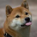 (ノ^∀^*)ノ (@0113910357) Twitter