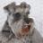 Twitter result for Post Office from cheryelcooper