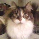 mcKye 007 (@007mcKye) Twitter