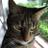 Twitter result for Simply Yours from mopar_oz