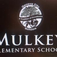 @MulkeyElem
