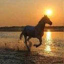 الشامخ (@0060T) Twitter