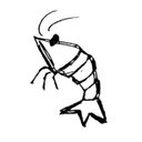 全国のMUTOさん (@0206Arc) Twitter
