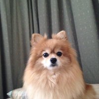 @Trojan1206