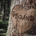 FEQAN KERIMOV (@00Feqan) Twitter