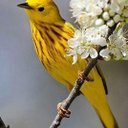 محمد عبدالخالق (@017790d576f64d8) Twitter