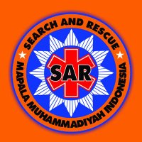 @sar_mmi