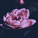 afaf| (@00___xx4) Twitter