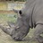 @africastrategy