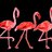 라이즈
@ssomeww ssomeww
