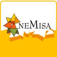 @NEMISA_
