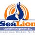 SeaLionllc
