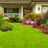Twitter result for Garden Bird Supplies from GardeningGlitz