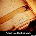 şeyda şeyda (@00Krap) Twitter
