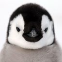 Catalina (@cl2425) Twitter