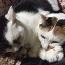 ggrina (@0208Mj) Twitter