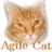 @Agile_Cat