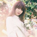 ปังต็อกศูนย์ห้า (@005Sujeong) Twitter