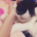 maron (@0113Nuko) Twitter