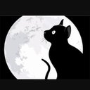 黒猫 (@003_kuro) Twitter