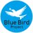 @BlueBird_PJ