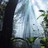 Investing Jungle