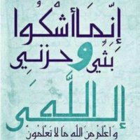 @om_ali1960
