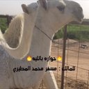 مسفر محمد (@0171Al) Twitter