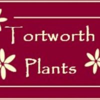 @TortworthPlants