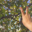 P@ (@01_pameli) Twitter