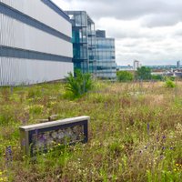 @worldgreenroof