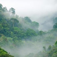 @Itkforclimate