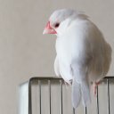 完