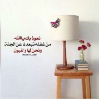 @malkaltwy191