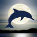 DolphinMoonCreations