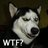 Twitter result for Samsonite from Tark31
