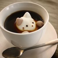 スプラトゥーンプレイヤー かふぇぬこ
