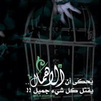 @rPRsyxlWpQj9ny1