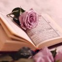 Nagwan Nagy (@01000n) Twitter