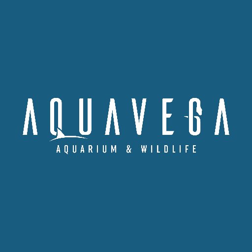 Aqua Vega Twitter Hesabı Profil Fotoğrafı Aqua Vega Twitter Hesabı Profil Fotoğrafı
