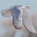 Reeme001 (@001Reeme001) Twitter