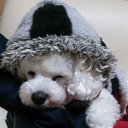 佐藤 博朗 (@0202sugar) Twitter
