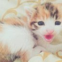 みほ (@01Imoh) Twitter