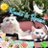 @29Qlove_blog