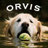 Twitter result for Orvis from OrvisDogs